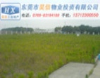 虎門工業(yè)土地62000出售，國地證，內(nèi)部新出資源
