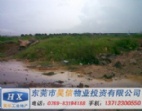 東莞洪梅70畝梅沙工業(yè)地皮出租/出售/訂建
