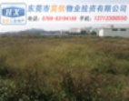 清溪17000平方米工業(yè)地皮出售 特級土地