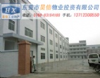 9300m2企石鎮(zhèn)廠出讓出售