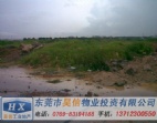 茶山鎮(zhèn)工業(yè)園23畝國有證土地出售
