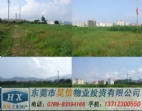 清溪鎮(zhèn)清鳳路邊17000平方國土證地出售