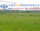清溪鎮(zhèn)環(huán)城路附近工業(yè)區(qū)1100畝地皮超值出售