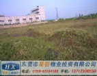 沙田鎮(zhèn)近沿江高速兩塊各15畝地皮可分開出售