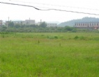 東莞謝崗成熟工業(yè)區(qū)內(nèi)15畝國(guó)有證廠房土地出售