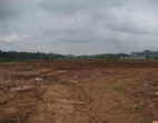 廣深高速路口東莞望牛墩355畝工業(yè)地皮/土地出售