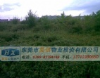 近大馬路邊東莞長安38畝集體證工業(yè)地皮出售