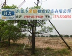 東莞虎門沙田鎮(zhèn)80畝國有證工業(yè)地皮出售，近碼頭