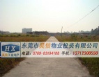 20畝國有證東莞土地出租信息一覽，道滘工業(yè)地皮出售，