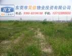 28畝東莞大朗工業(yè)地皮出售/大朗工業(yè)廠房土地出售