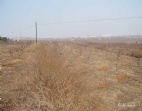 常平工業(yè)地皮出售38畝東莞工業(yè)土地轉(zhuǎn)讓