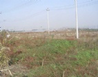 風(fēng)水寶地200畝東莞望牛墩廠房土地-工業(yè)用地出售升值空間大