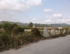工業(yè)園空地招商/東莞石龍35畝工業(yè)地皮出售