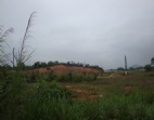 50畝東莞萬江廠房土地出租-萬江工業(yè)用地出售價格如您所愿