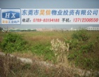 風(fēng)水旺地東莞工業(yè)用地100畝沙田工業(yè)空地出售或訂建廠房