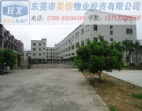 選擇東莞、橫瀝廠房出售/廠房買賣配套一應(yīng)俱全