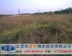 東莞大朗鎮(zhèn)工業(yè)區(qū)50畝工業(yè)地皮/空地/用地出售