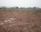 東莞茶山工業(yè)園內(nèi)占地30畝工業(yè)用地/土地出售