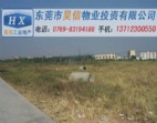 （東莞教育土地出售）東莞高埗60畝帶國土證工業(yè)地皮出售