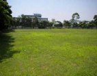 東莞萬江鎮(zhèn)35畝工業(yè)地皮出售或工業(yè)用地訂建廠房
