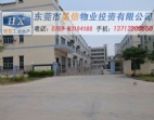 東莞麻涌廠房出售　國(guó)土證廠房出售投資建廠任你選