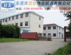 現有常平大小獨院廠房出售/東莞常平廠房出租超實用
