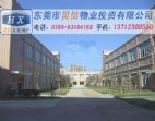 本土東莞常平廠房出售-東莞常平毛織工廠轉讓新鮮出爐