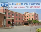 選擇東莞橋頭廠房出售，9成新，三層，獨院，有國土房產證