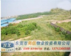 難得一見的東莞東坑65畝工業(yè)用地轉讓-工業(yè)空地出售