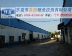 東莞麻涌9200平方米單層廠房出售