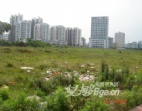 東莞大朗富民大道21畝工業(yè)地皮/土地出售
