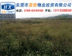 東莞橫瀝鎮(zhèn)大路邊16畝工業(yè)用地出售