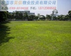 東莞大朗富民大道21畝工業(yè)地皮/土地出售
