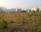 已報(bào)建惠州園洲120畝工業(yè)用地出售