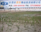 已報建東莞道滘8畝工業(yè)廠房地皮/空地出售
