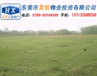東莞橫瀝田坑村40畝（集體流轉(zhuǎn)）工業(yè)地皮出售