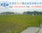 寬闊馬路邊東莞望牛墩20畝工業(yè)土地出售