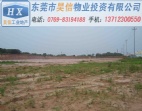396畝東莞麻涌地皮招商 清溪工業(yè)地皮出售