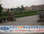 供應(yīng)東莞常平廠房出售/廠房轉(zhuǎn)讓/帶機器