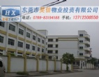 豪華形象 東莞橋頭廠房出售 橋頭廠房轉讓