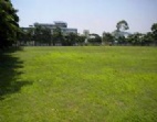 東莞市望牛墩鎮(zhèn)集體流轉(zhuǎn)證紅本廠房出售
