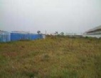 洪梅鎮(zhèn)沙望路邊硬地27200平方出租
