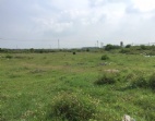 惠州市仲愷高新區(qū)國有證土地46322㎡轉(zhuǎn)讓/東莞土地出售