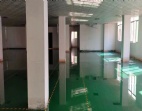 東莞大朗全新獨(dú)院6450平方廠房出租可分租